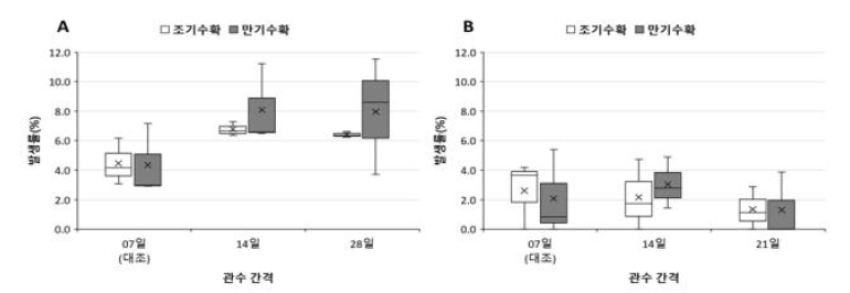 관수 간격 처리별 시험품종의 수확시기 기형서 발생률 비교(A:2022년; B:2023년)