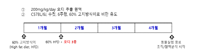 항비만 효과 분석 동물실험 디자인