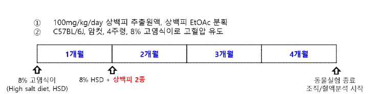 항고혈압 효과 분석 동물실험 디자인