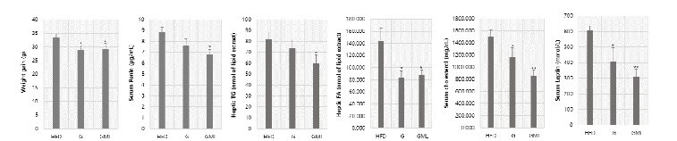 뽕잎-마늘 복합 발효물의 비만모델 건강개선 효능 평가 HFD (고지방식이), G (마늘발효물), GM (마늘뽕잎 발효물)