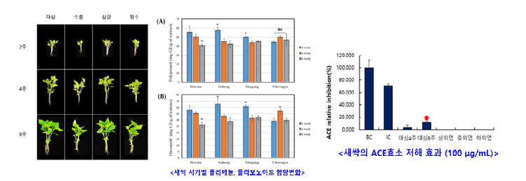 오디새싹 품종 및 수확시기별 성분 변화 및 ACE 효소 저해효과