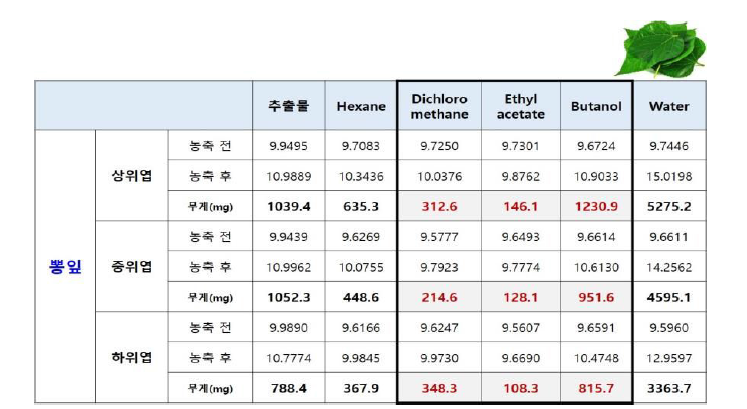 뽕잎 생장 단계별 추출물 및 용매분획물 제조‧공유