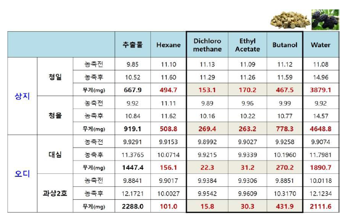 상지/오디 품종별 추출물 및 용매분획물 제조‧공유