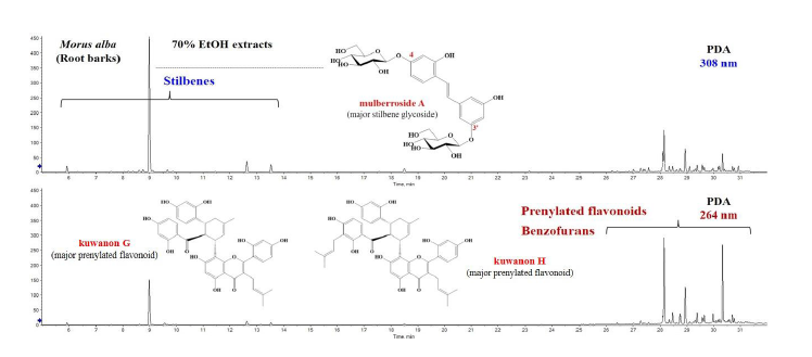 상백피 추출물로부터 페놀화합물 유도체 확인 stilbene, prenylated flavonoid 등 50 여종