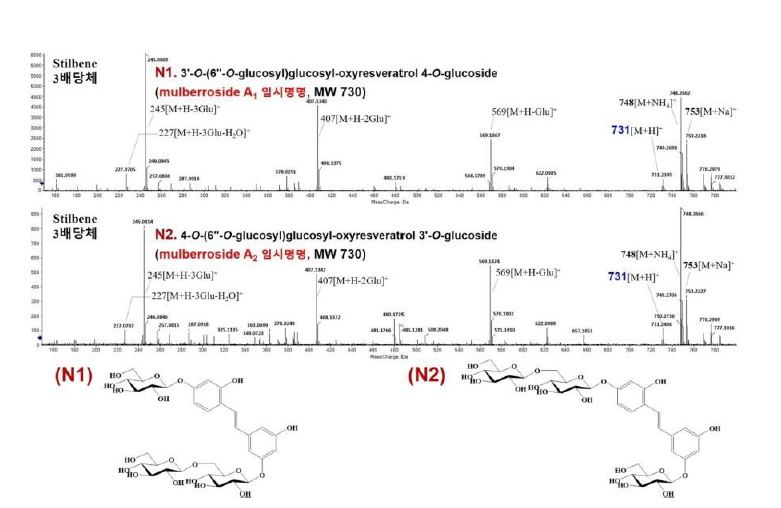 상백피 Butanol 분획물로부터 신규 stilbene 유도체 2종 * 질량이온 패턴, 화학 구조