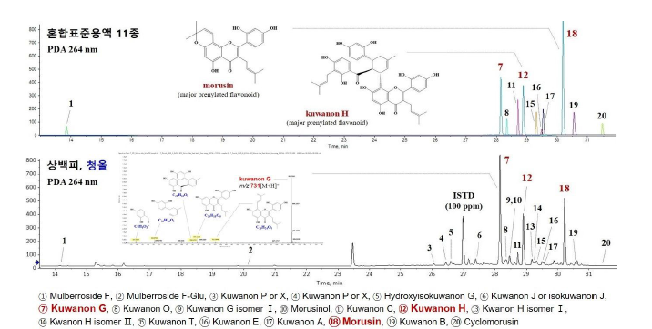 상백피, 청올 품종으로부터 페놀화합물 유도체 24종 분리 크로마토그램