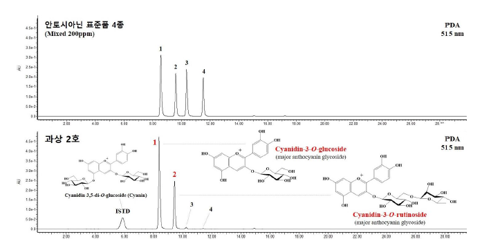 오디, 안토시아닌 배당체의 크로마토그램 및 구조 그림