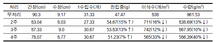 처리에 따른 생육 및 수량 차이