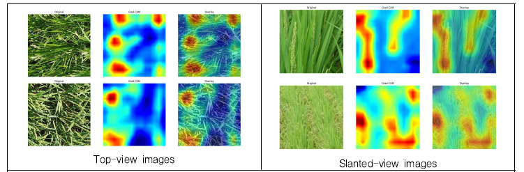 딥러닝 모델 구동 결과에 대한 Grad-CAM 시각화