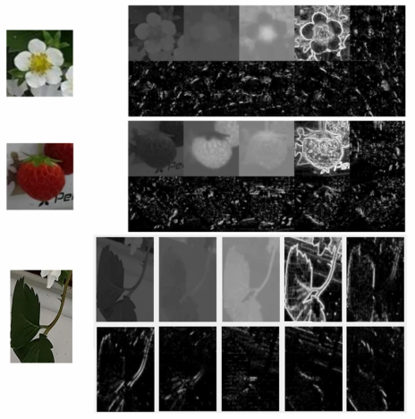 Aggregate channel features 알고리즘 내 Extended image channels 결과 예시