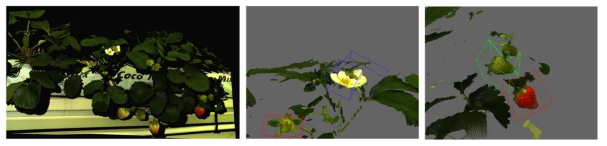 취득된 딸기 Point cloud 데이터 기반 3D Labeling 예시