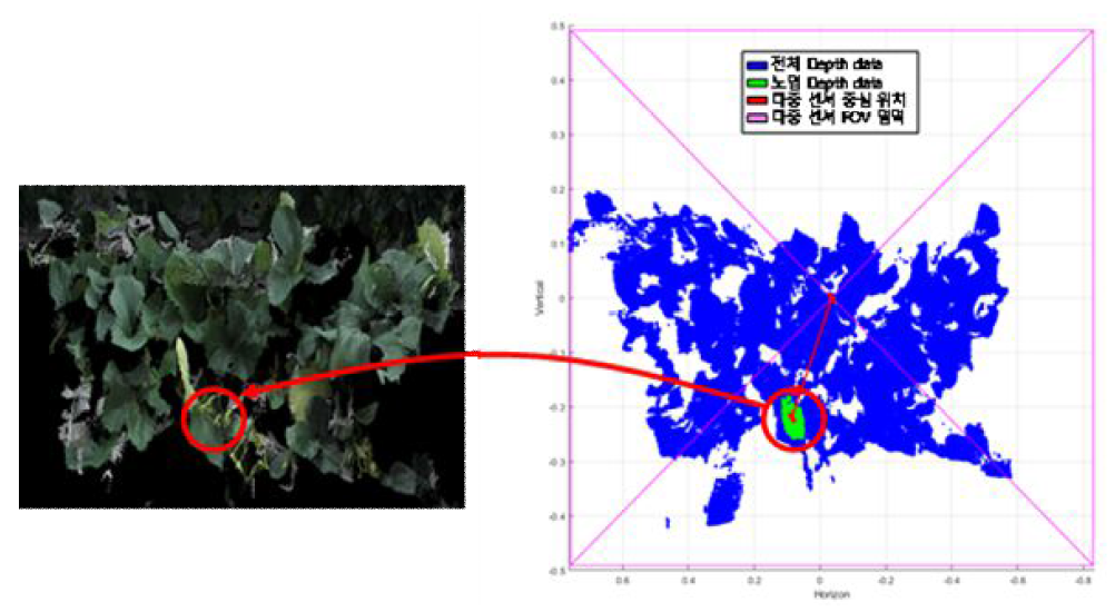 인식된 노엽 RGB 이미지 데이터와 Depth 데이터의 매칭 결과 비교