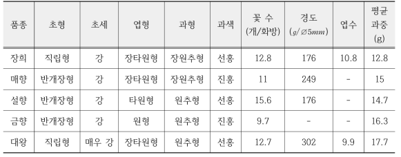 딸기의 품종별 형태학적 특성(농업기술길잡이 40, 2019)