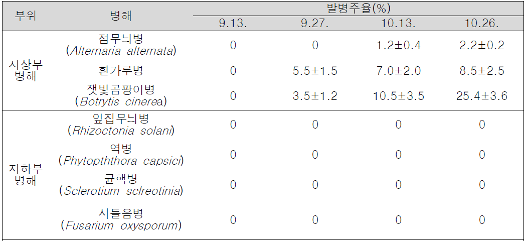 유기농 밀, 보리 재배 후작물인 메일에 발생하는 병해