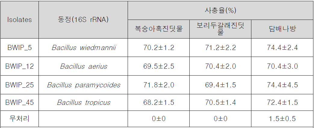 밀·보리 진딧물와 나방류 동시 방제용 병원성 미생물 살출효과 검정