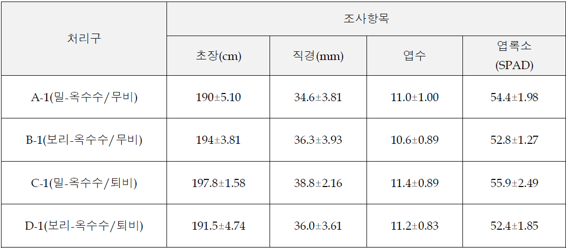 밀, 보리 작부체계에 따른 하계작물(옥수수)의 생육(7/4)