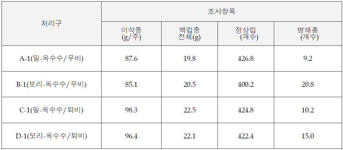 밀, 보리 작부체계에 따른 하계작물(옥수수)의 생육(8/31)