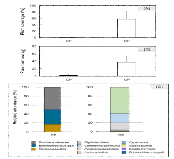 관행 논(CP)과 유기 논(OP) 식생의 구조 (A) 피도(%), (B) 생물량(g 0.25m-2), (C) 상대우점도 (%)