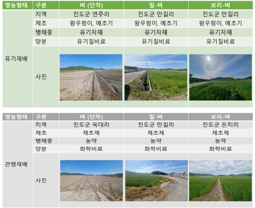 작부체계가 다른 밀, 보리-벼 재배지