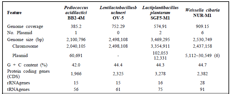 선발된 유산균 4균주의 유전체 기본특성