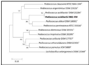 Pediococcus acidilactici BB2-4M의 유전체 기반 계통분석