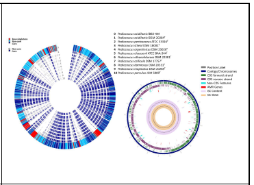 Pediococcus acidilactici BB2-4M의 유전체 특성분석