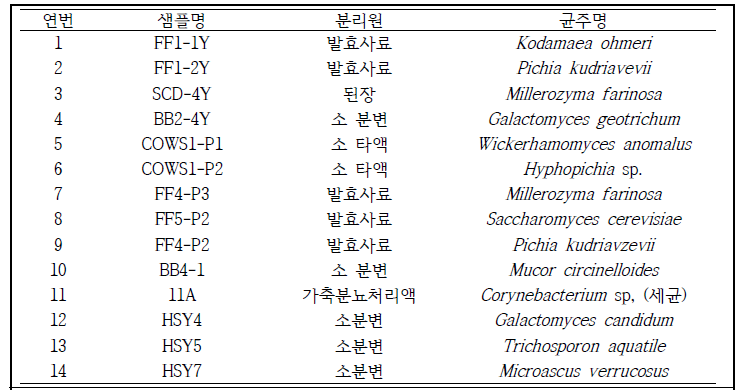 분리 미생물 목록