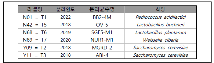 in vitro 분석에 사용된 실험균주