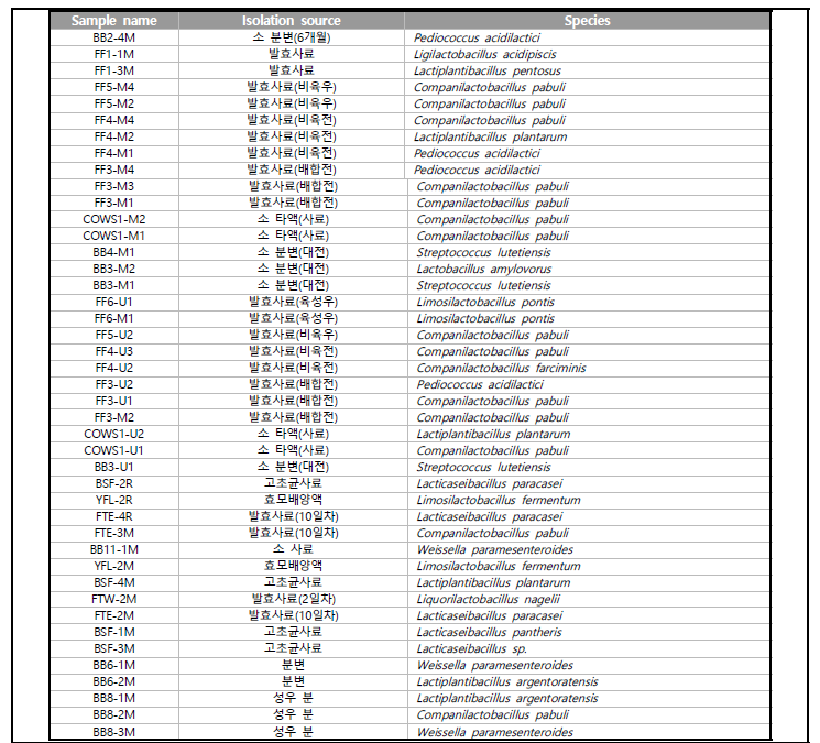 분리된 유산균 목록