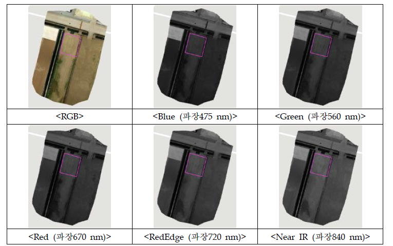 국립농업과학원 농업공학부 구내 시험포장의 파장별 영상정보