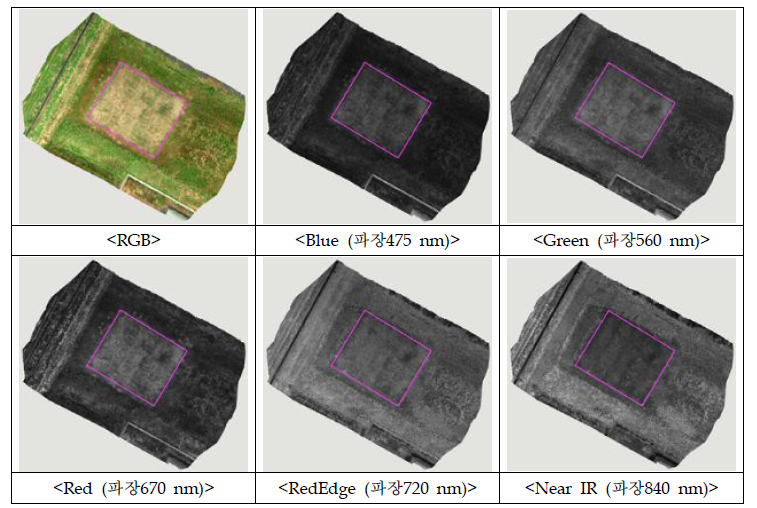 농촌진흥청 김제 광활 시험포장의 파장별 영상정보