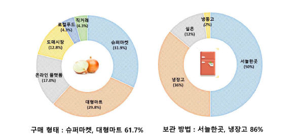 양파 구매 형태 및 보관 방법