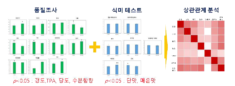 양파 품질조사, 식미 테스트 및 상관관계 분석