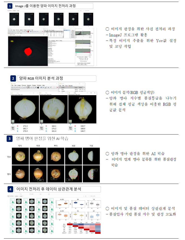 양파 맹아 및 품질판정을 위한 이미지 기반 분석 처리 방법