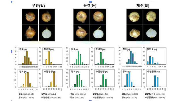 권역별 양파 품질조사(정규분포)