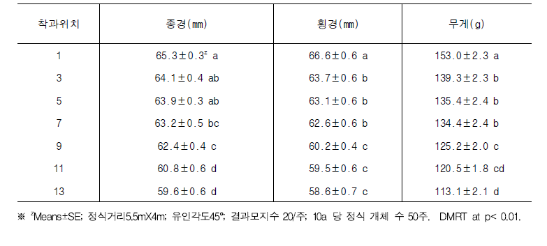 ‘감황’에서 착과위치별 종경, 횡경 및 과중