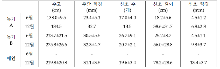‘그린시스’ 신규재식 묘목 생육조사 결과(2023년 6월, 12월)