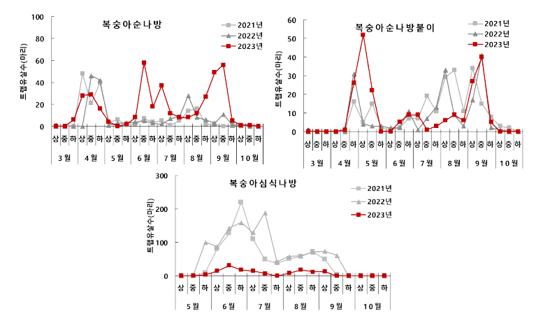 사과원 심식나방류 발생 소장(2023, 사과연구소)