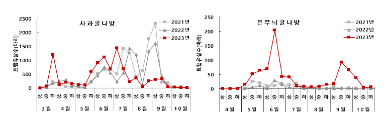 사과원 굴나방류 발생 소장(2023, 사과연구소)