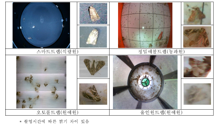 트랩별 수집 이미지 및 해충 확대본(우측상단: 파밤나방, 우측하단: 담배거세미나방)