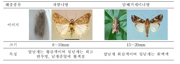 [참고] 대상해충 특징