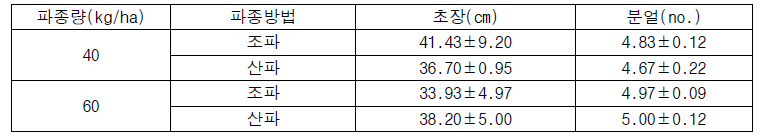 Plant height and tiller number by seeding yield and seeding method (23.11.21.)