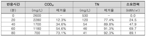 K시 매립장 침출수 처리공정 중 최종처리수에 대한 ECO의 처리효과