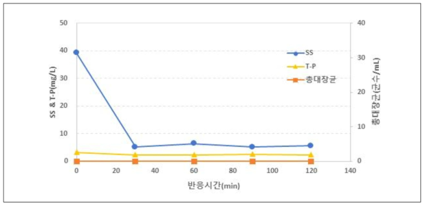 생물막 여과 실험 : 체류시간에 따른 T-P, SS, 대장균의 변화