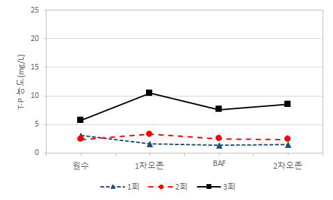 2차년 1-3회차 현장운영 T-P농도 그래프