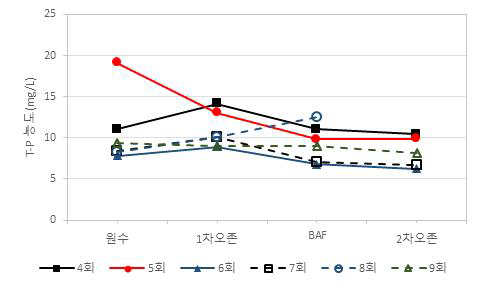 2차년 4-9회차 현장운영 T-P농도 그래프