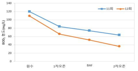 2차년 11-12회차 현장운영 BOD농도 그래프