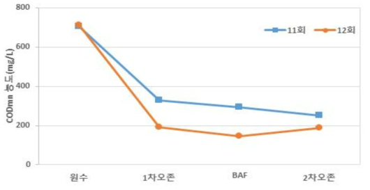 2차년 11-12회차 현장운영 COD농도 그래프