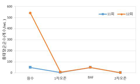 2차년 11-12회차 현장운영 총대장균균수 그래프