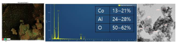 코팅된 촉매층의 EDS 성분분석 및 TEM 촬영 결과
